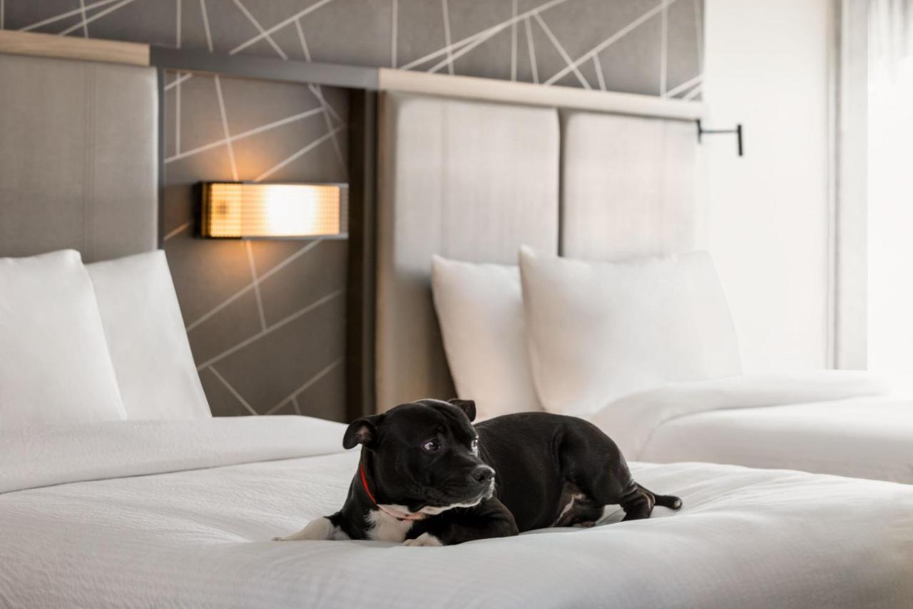 Springhill By Marriott 2* Camp Hill